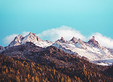 NBA-布伦森29+9阿努诺比25+8 尼克斯送步行者12连败